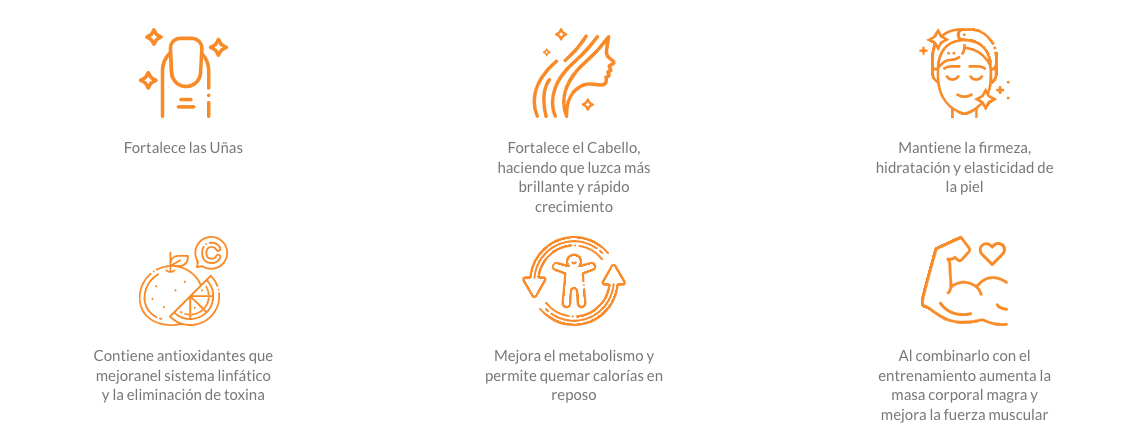 Colágeno Hidrolizado Gelanox