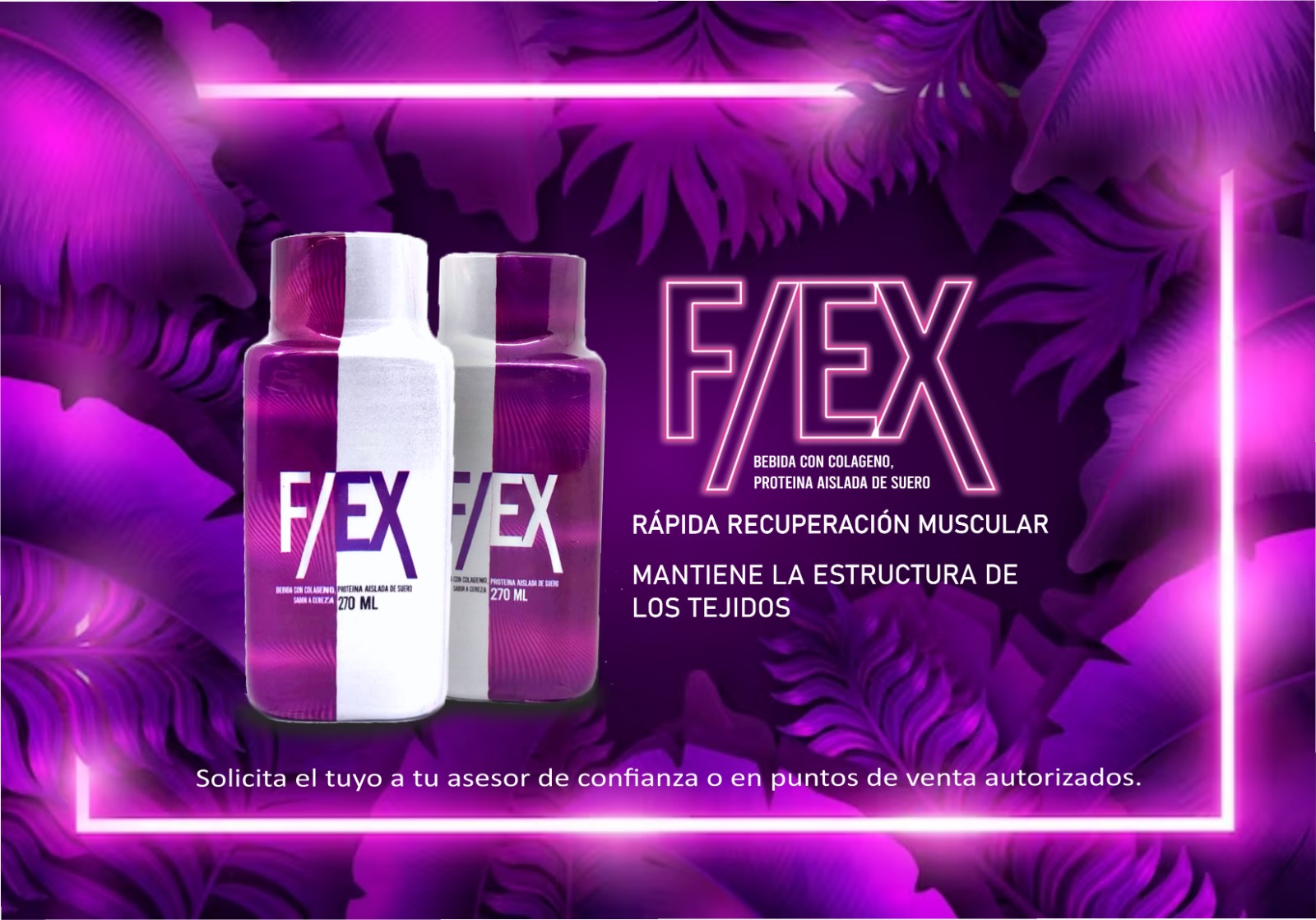 FLEX Bebida dolores articulares