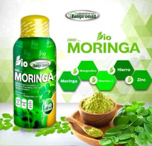 Moringa jarabe 500ml