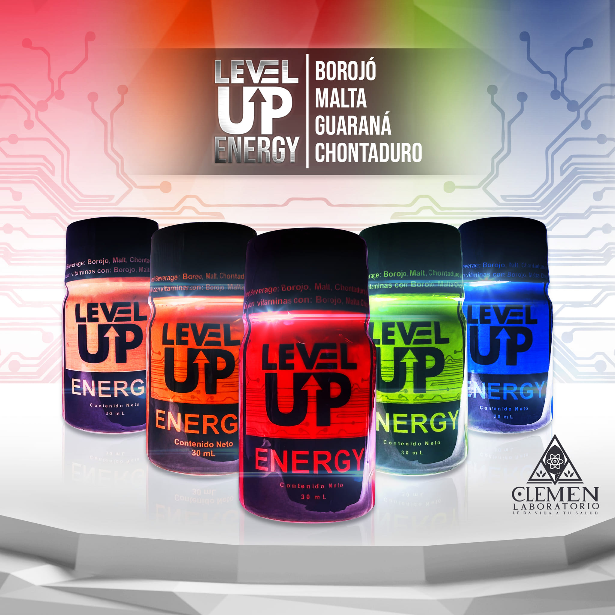 LEVEL UP ENERGY