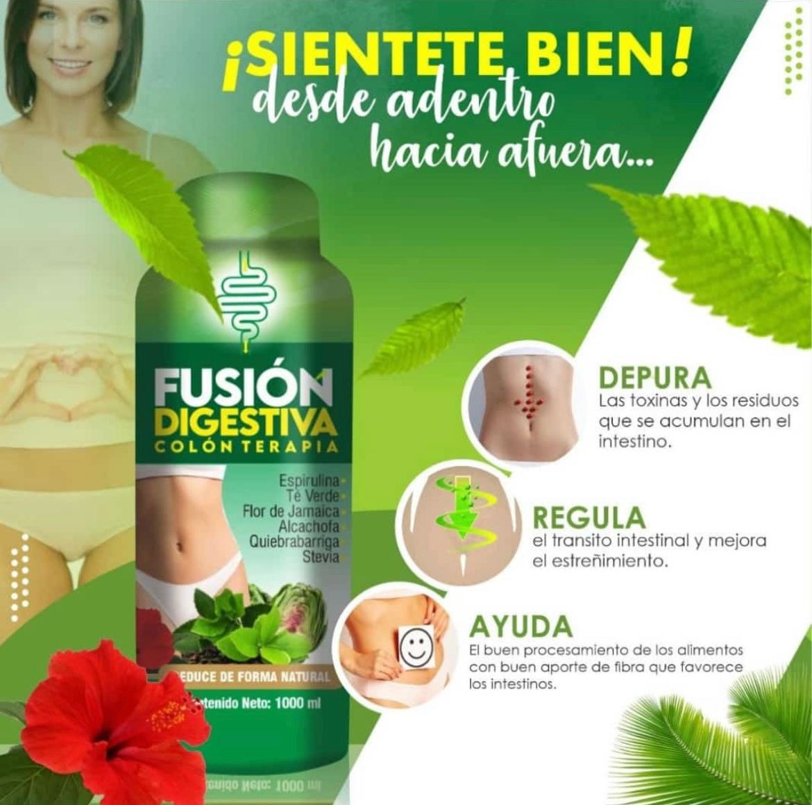 FUSIÓN DIGESTIVA COLON TERAPIA